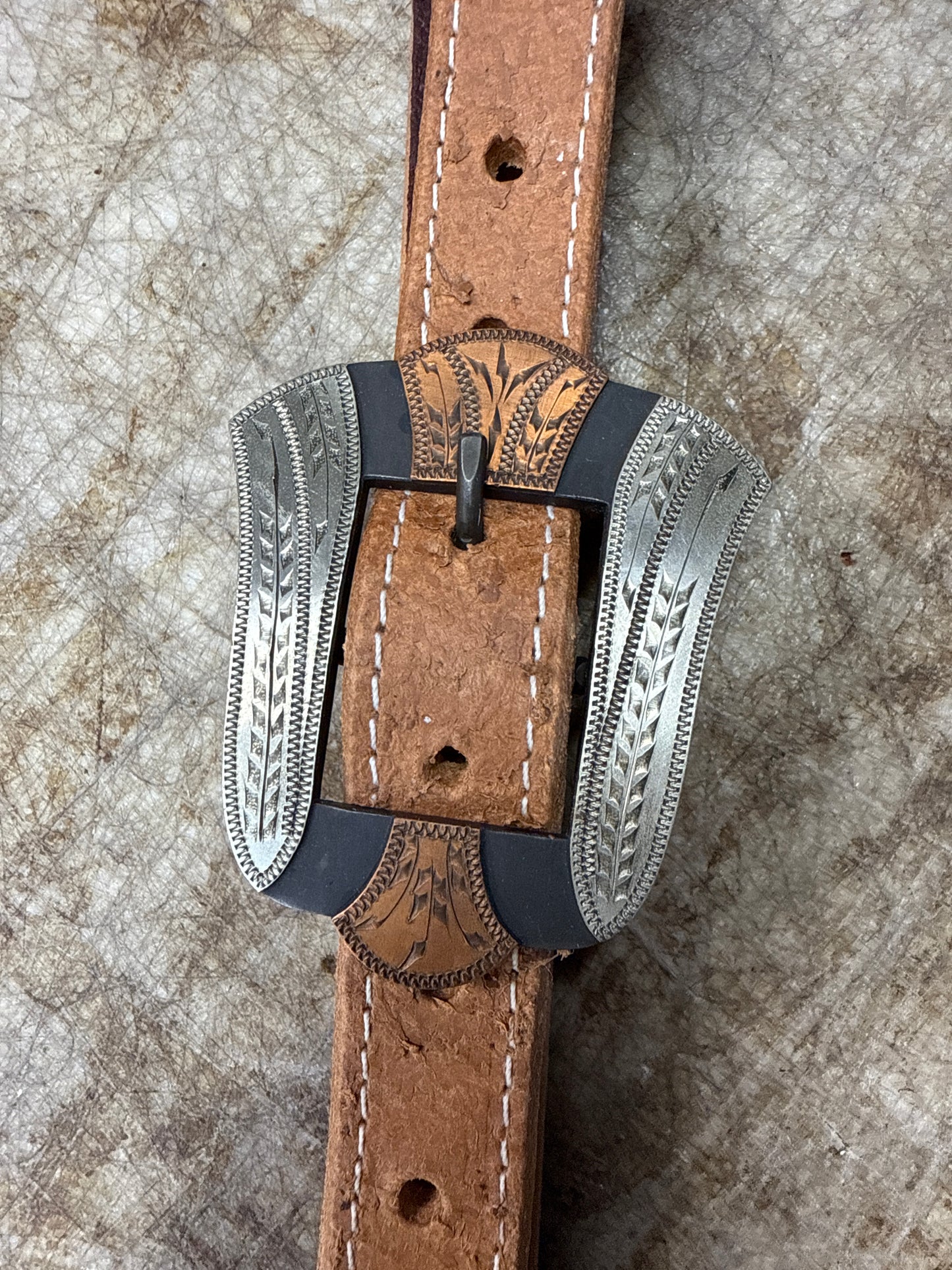 Vigil buckle with Horny Toad Headstall