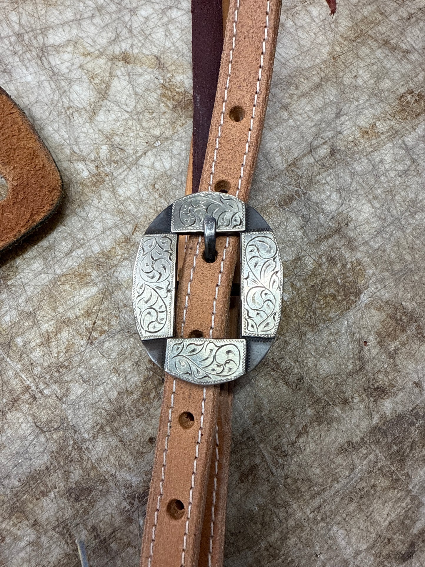 Dan Conway buckle Horny Toad Saddlery