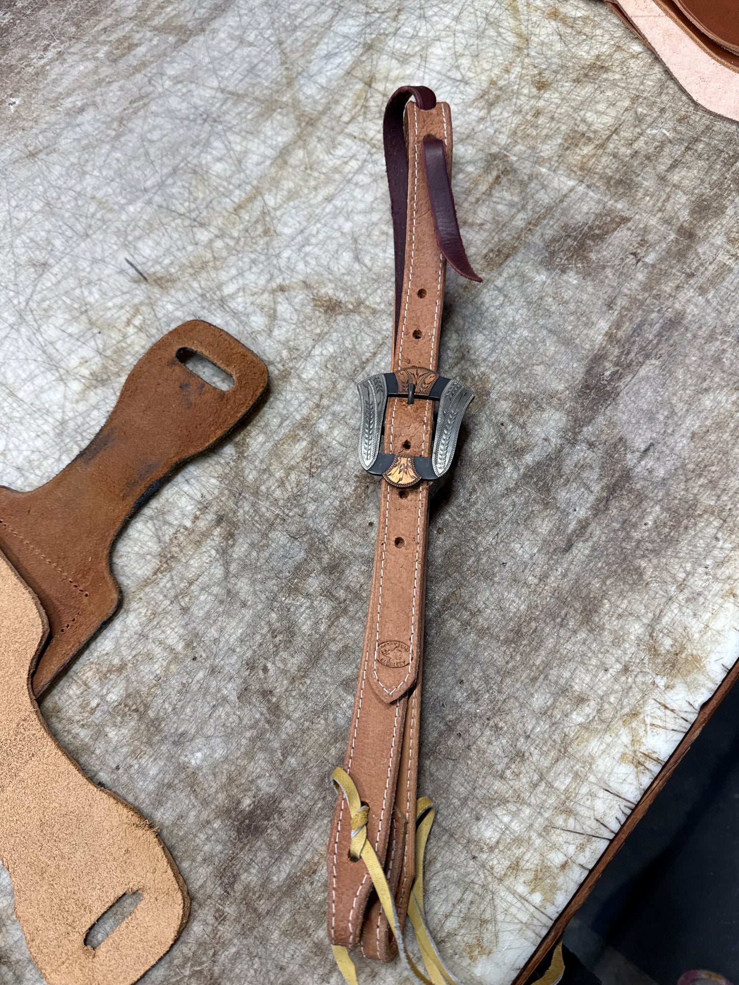 Vigil buckle with Horny Toad Headstall