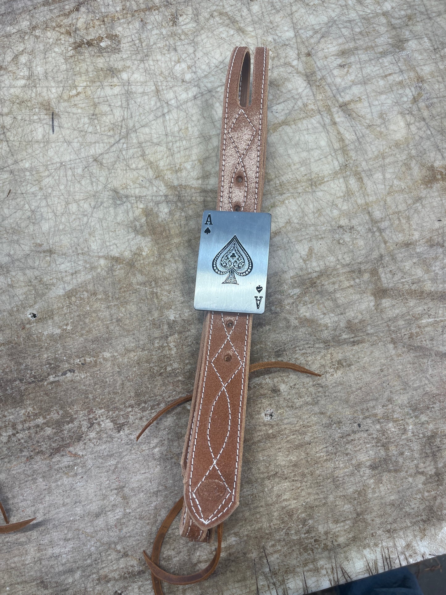 Ace buckle harness