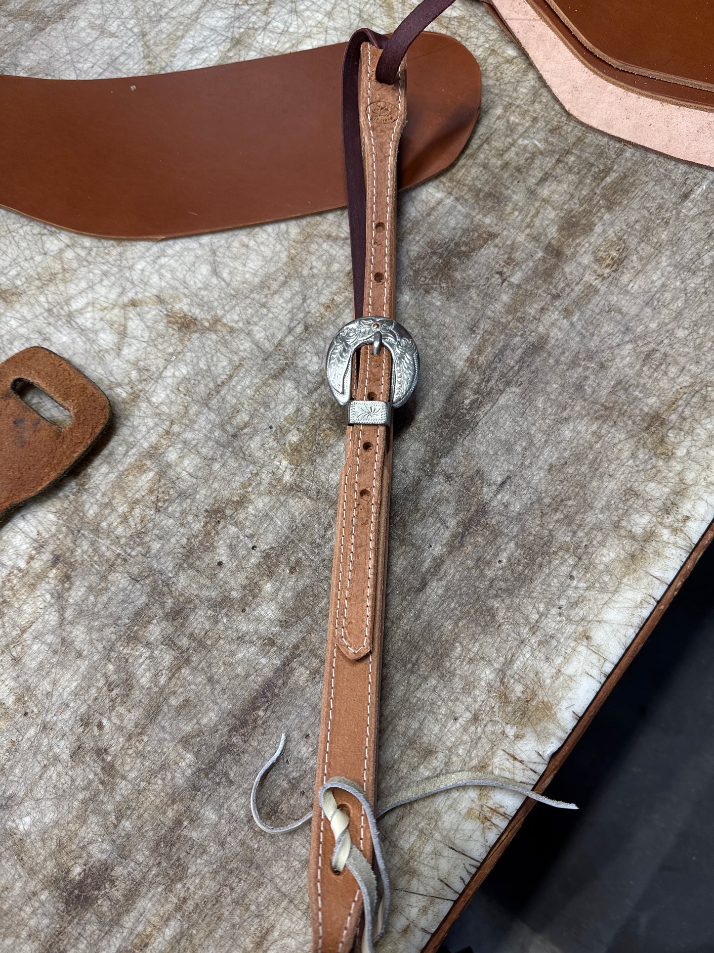 Cutrell buckle Horny Toad headstall