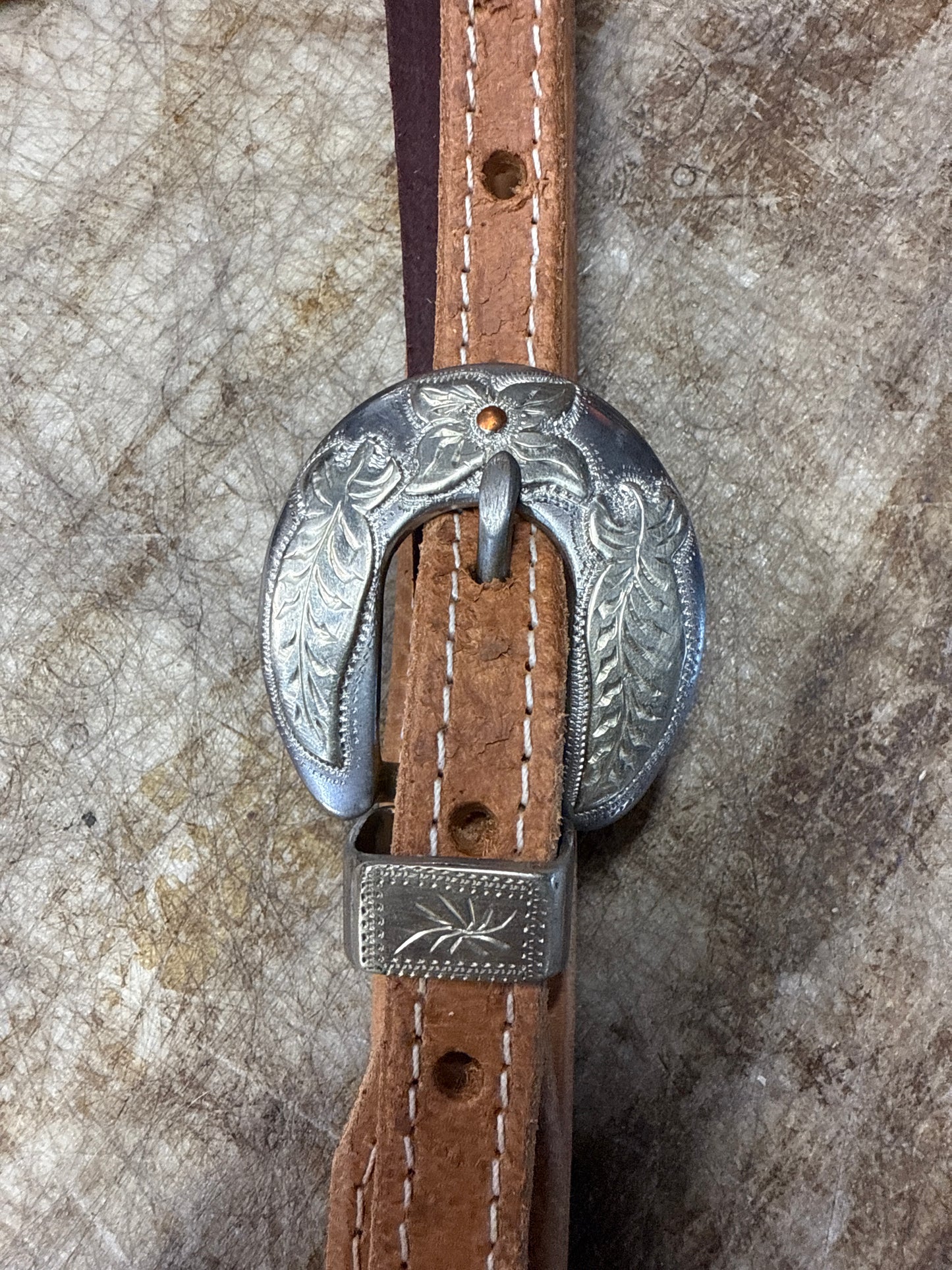 Cutrell buckle Horny Toad headstall