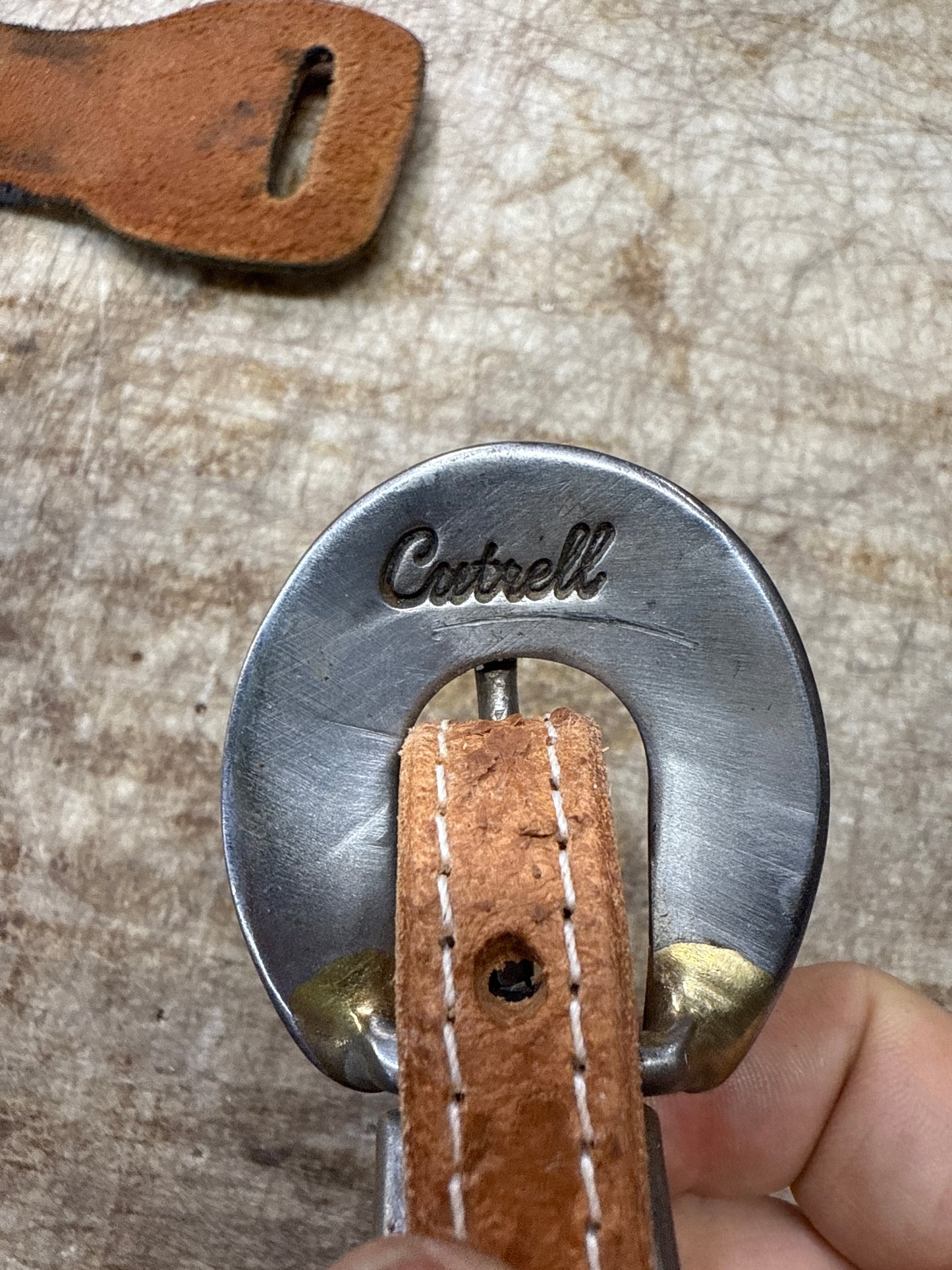 Cutrell buckle Horny Toad headstall