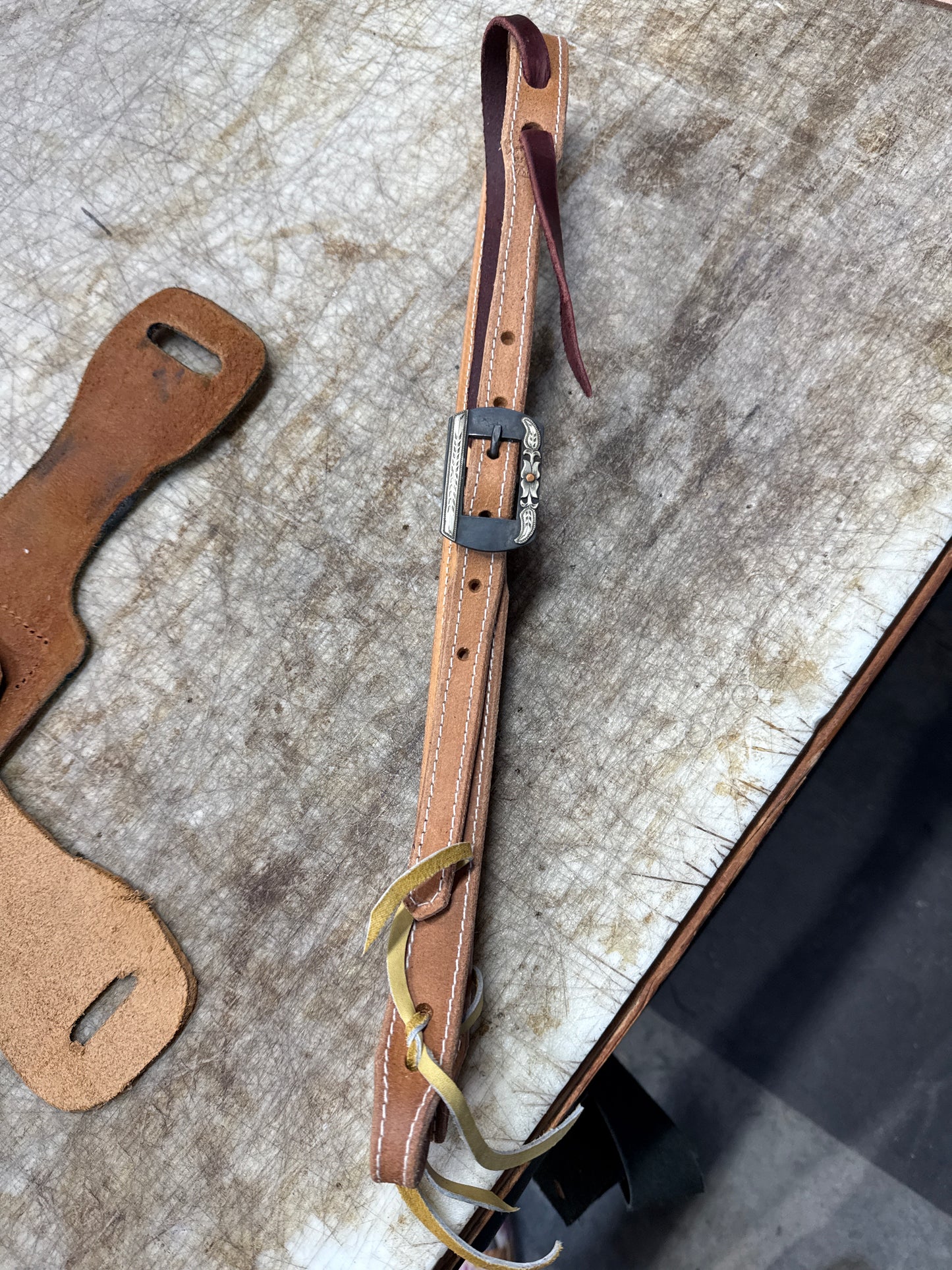 Vigil buckle Horny Toad Headstall