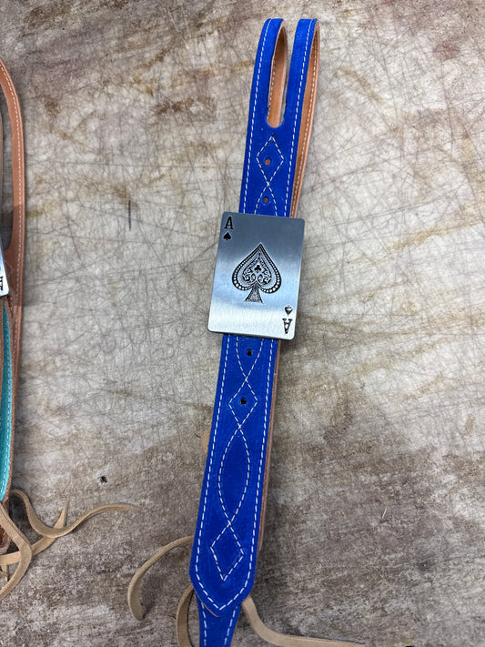 Blue headstall!
