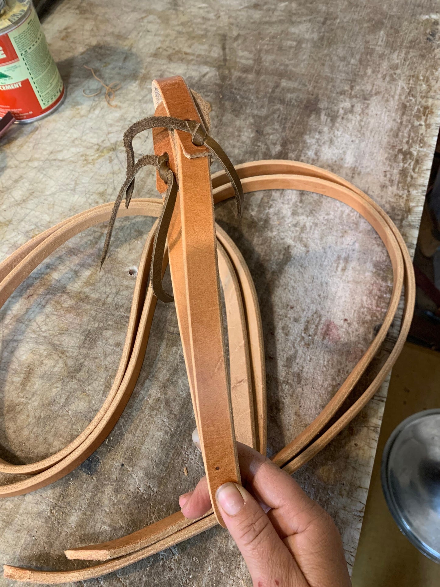 Split reins